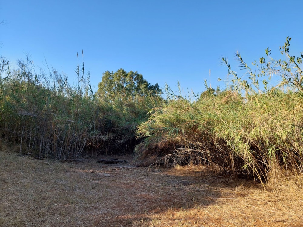 Vacant land for sale in Elephant Rock Eco Estate - 1HS1537688