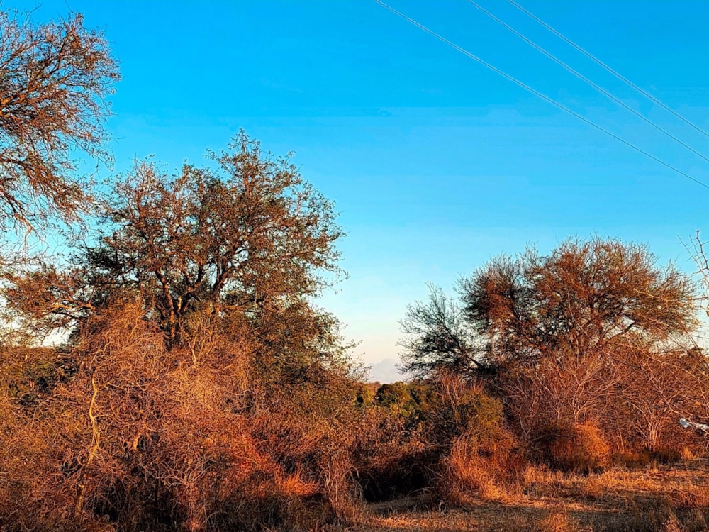 Vacant land sold in Elephant Rock Eco Estate - 1HS1718683 Vacant land sold in Elephant Rock Eco Estate - 1HS1718683