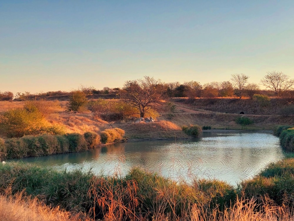 Vacant land sold in Elephant Rock Eco Estate - 1HS1718683 Vacant land sold in Elephant Rock Eco Estate - 1HS1718683