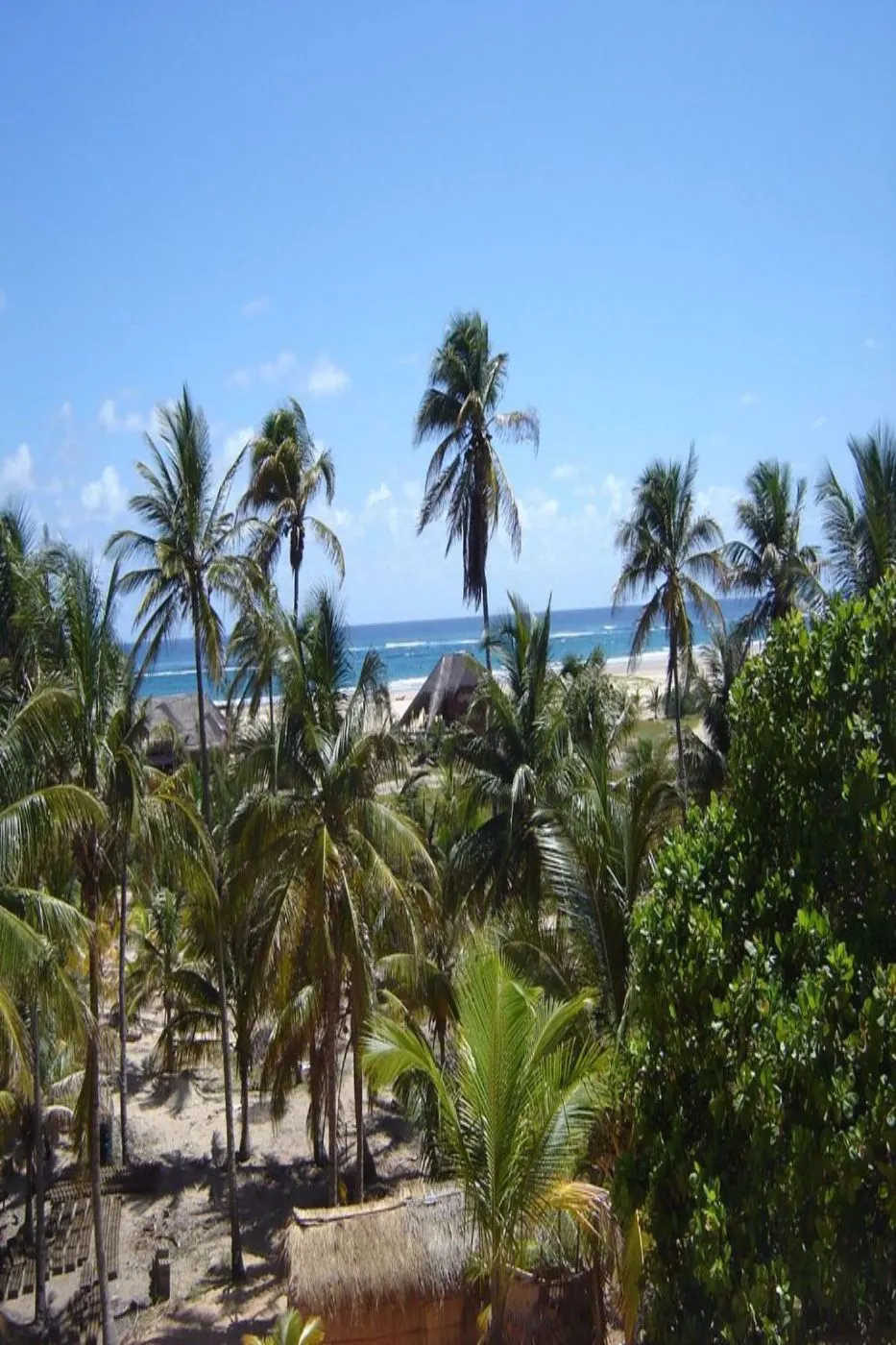 Vacant land for investment in Praia da Barra, Mozambique - 3MQ1538136 Vacant land for investment in Praia da Barra, Mozambique - 3MQ1538136