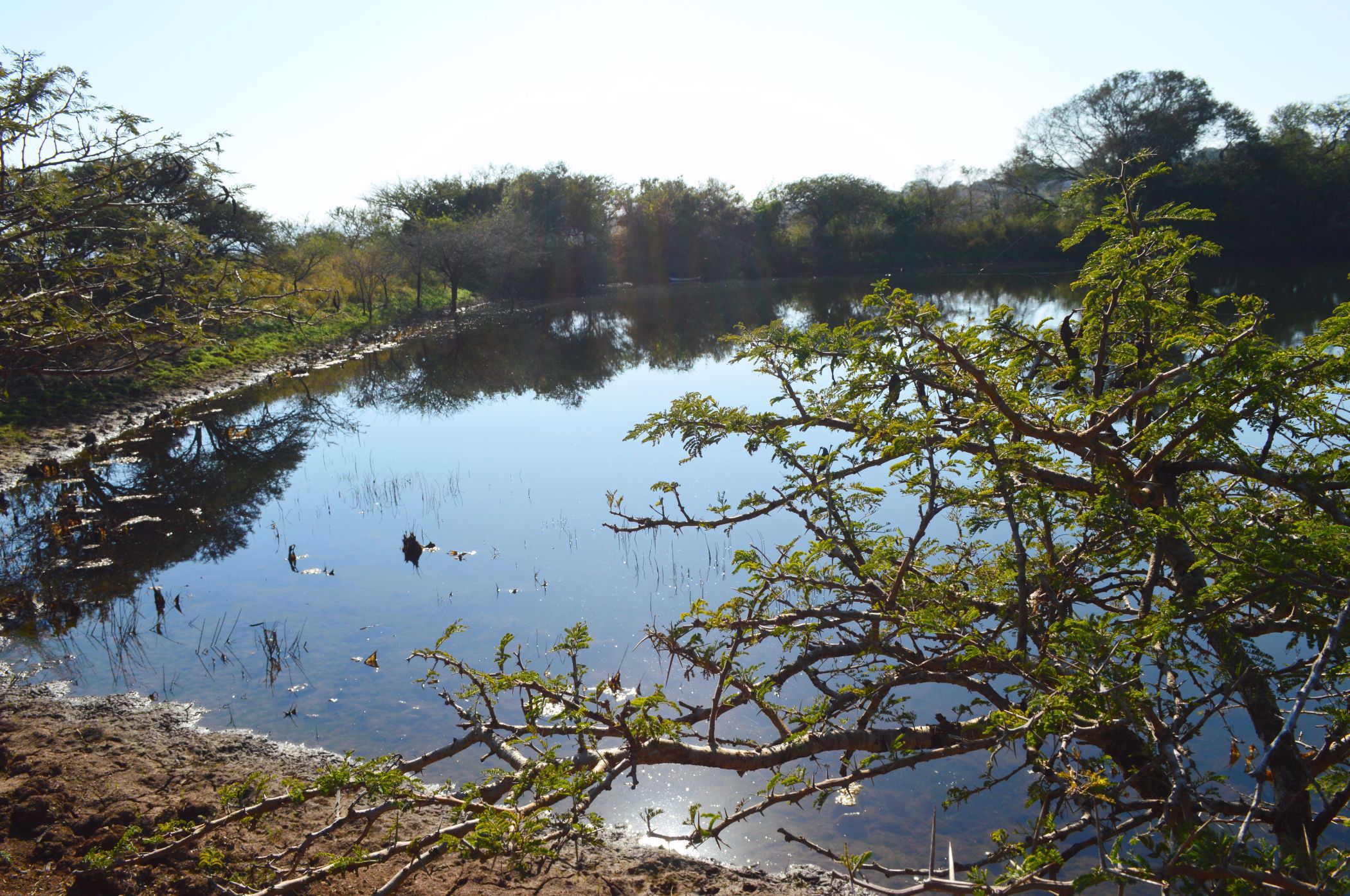 Farm vacant land for sale in Lynnfield Park - View 4