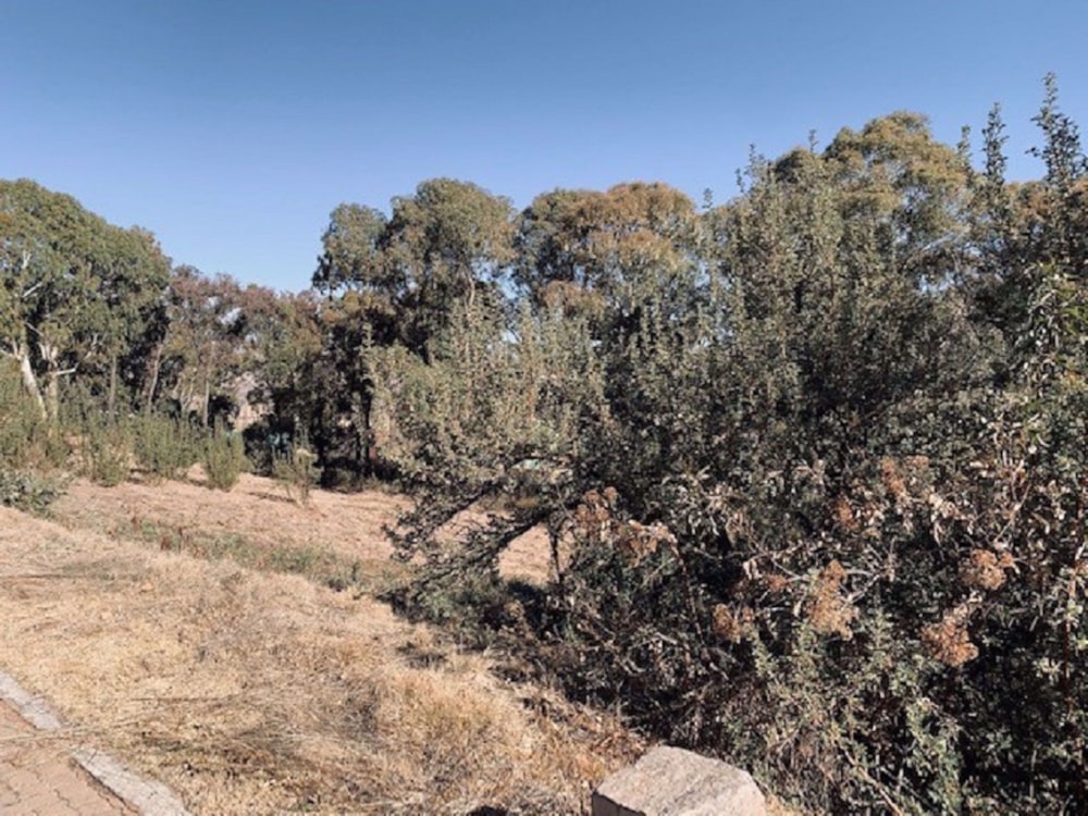 Vacant land for sale in Clarens - 1CS1290370 Vacant land for sale in Clarens - 1CS1290370