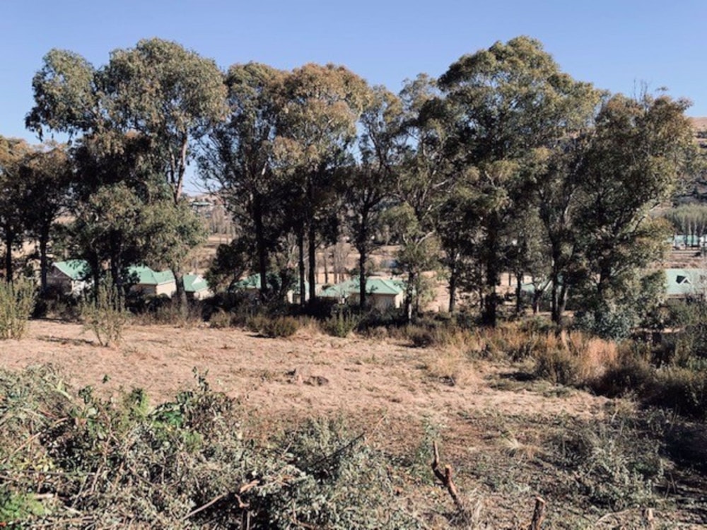 Vacant land for sale in Clarens - 1CS1290370 Vacant land for sale in Clarens - 1CS1290370