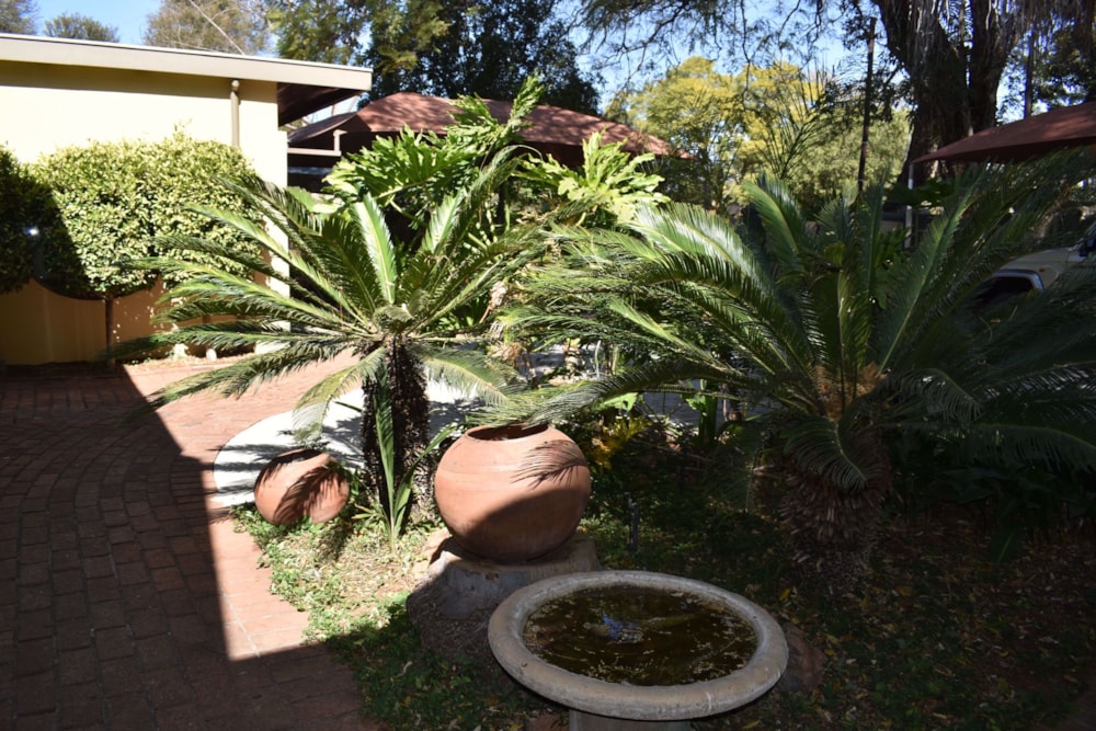 Commercial business for sale in Polokwane Central - 1PS1636959