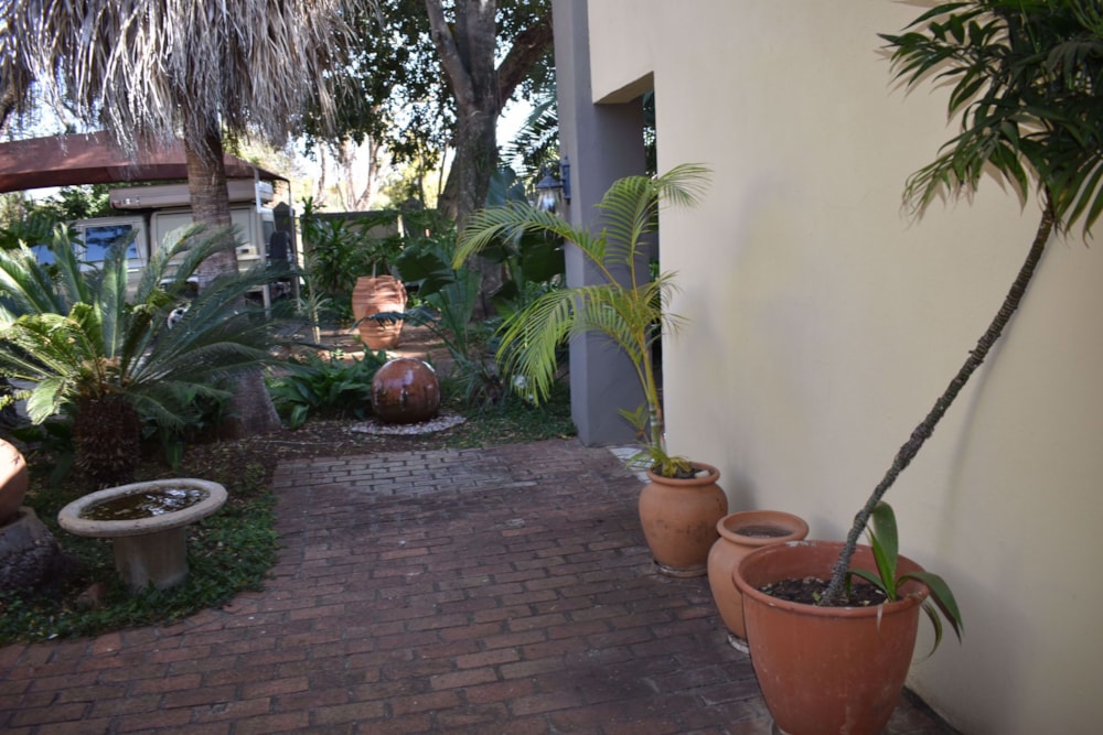 Commercial business for sale in Polokwane Central - 1PS1636959