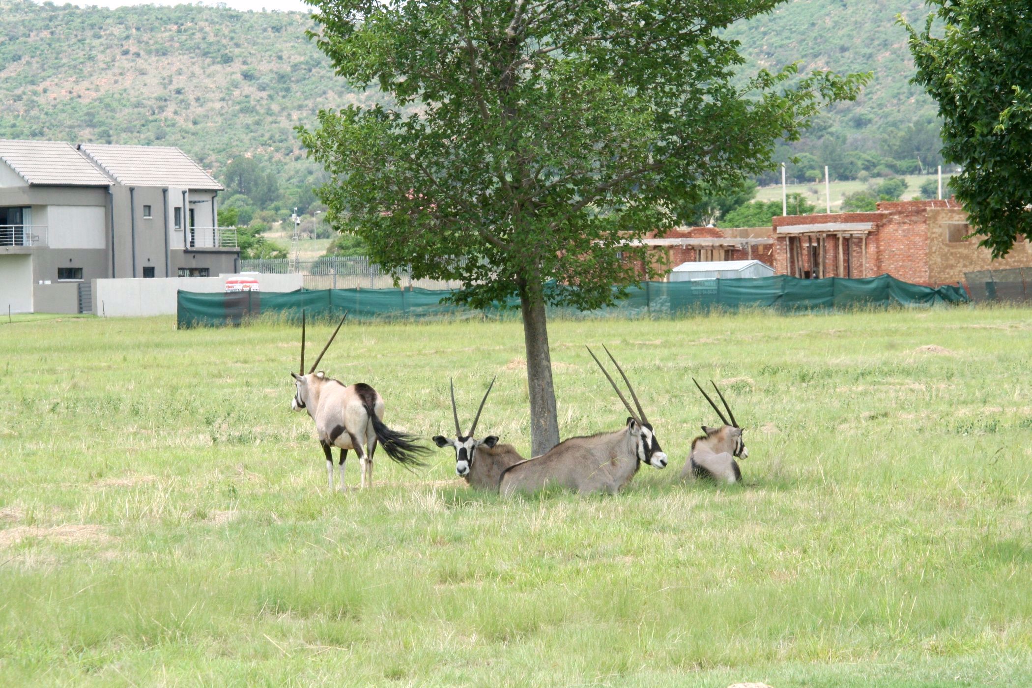 Vacant land for sale in Westlake, Hartbeespoort - 1HR1629418