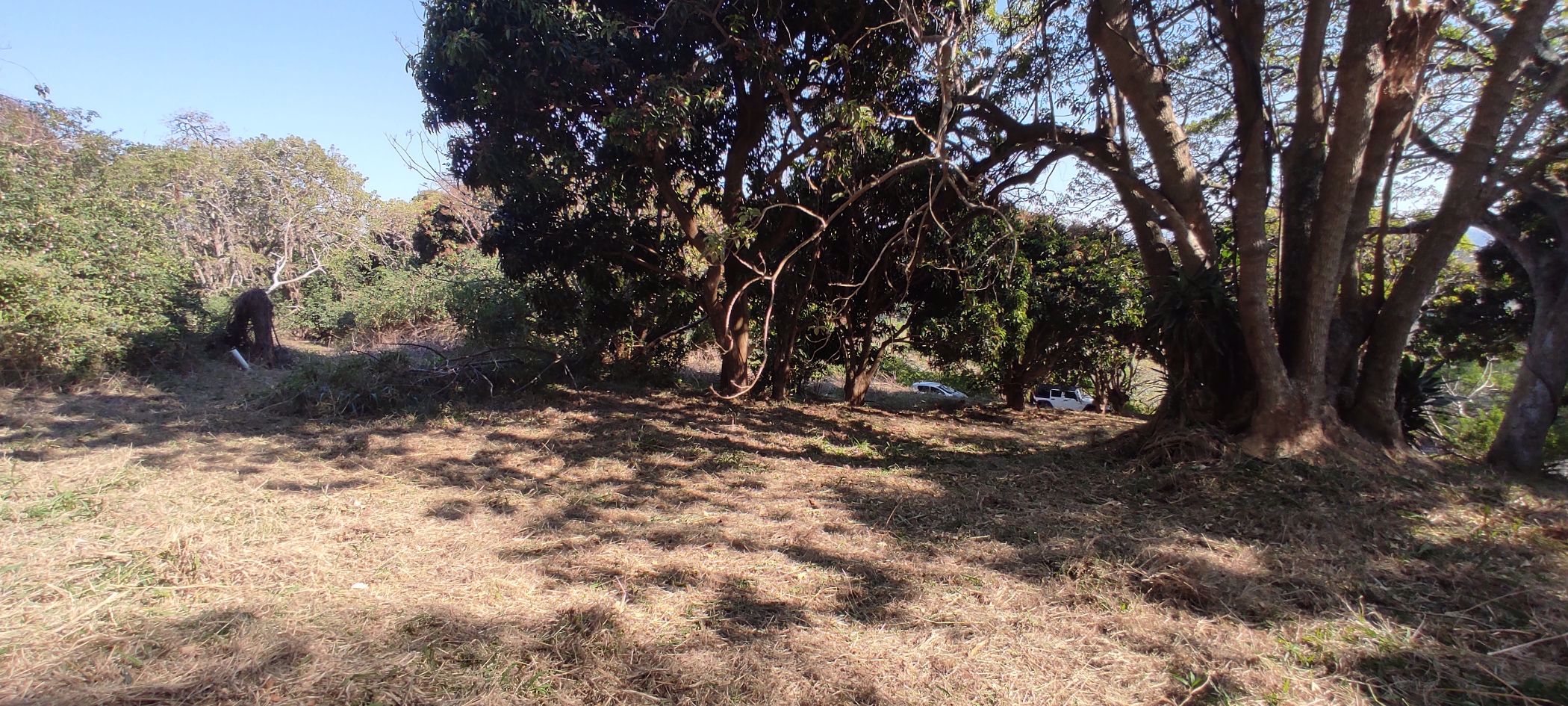 Residential vacant land for sale in Shelly Beach - 1PX1540618