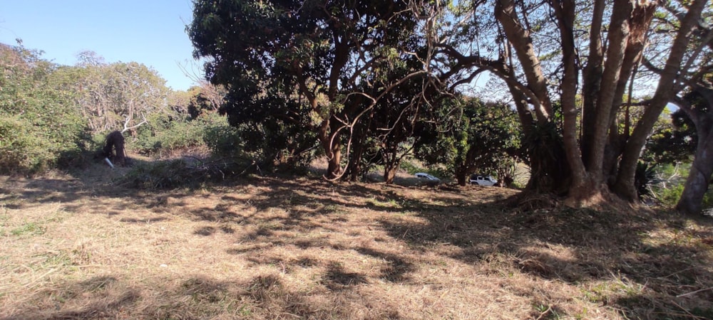 Residential vacant land for sale in Shelly Beach - 1PX1540618 Residential vacant land for sale in Shelly Beach - 1PX1540618