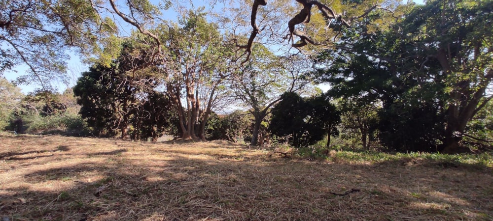 Residential vacant land for sale in Shelly Beach - 1PX1540618 Residential vacant land for sale in Shelly Beach - 1PX1540618