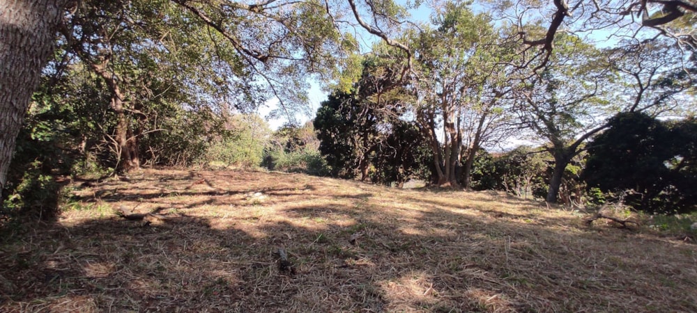 Residential vacant land for sale in Shelly Beach - 1PX1540618 Residential vacant land for sale in Shelly Beach - 1PX1540618