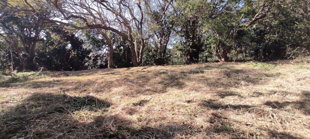 Residential vacant land for sale in Shelly Beach - 1PX1540618 Residential vacant land for sale in Shelly Beach - 1PX1540618