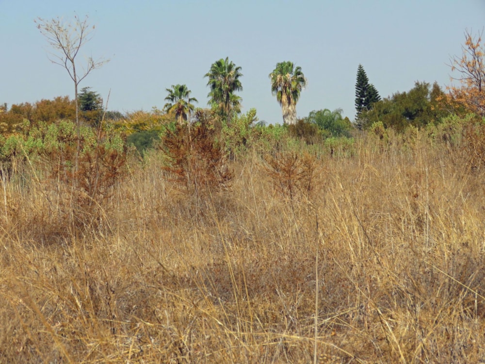 Farm vacant land for sale in Roodeplaat - PTM1538565 Farm vacant land for sale in Roodeplaat - PTM1538565