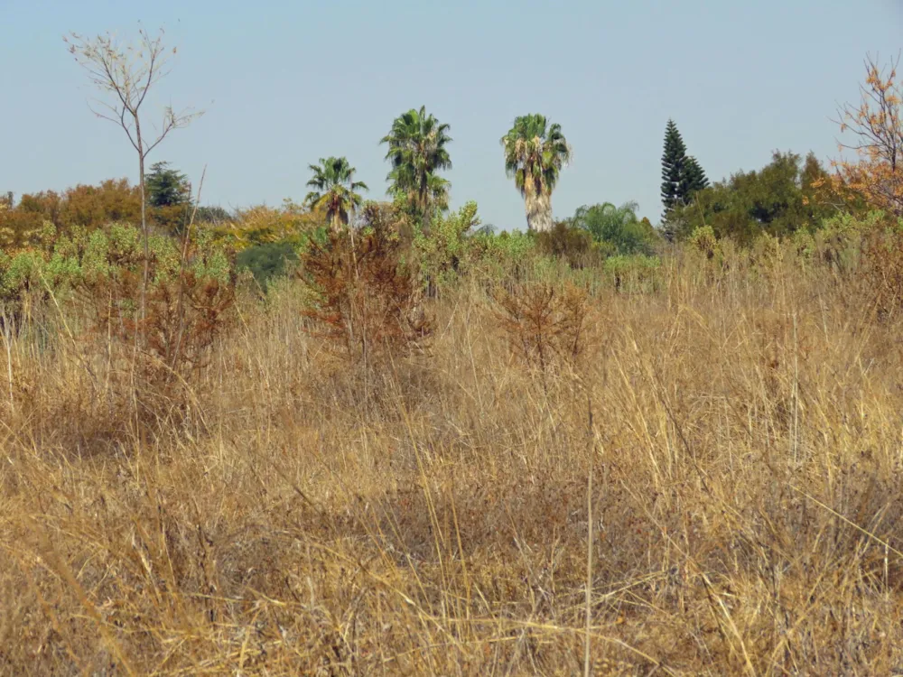 Farm vacant land for sale in Roodeplaat - PTM1538565 Farm vacant land for sale in Roodeplaat - PTM1538565
