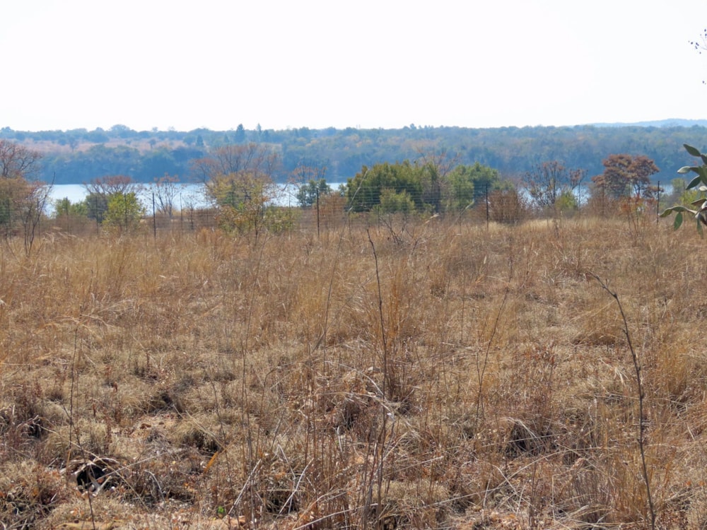 Farm vacant land for sale in Roodeplaat - PTM1538565 Farm vacant land for sale in Roodeplaat - PTM1538565