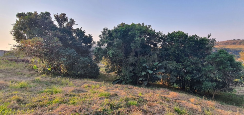 Residential vacant land for sale in Shelly Beach - 1PX1539142 Residential vacant land for sale in Shelly Beach - 1PX1539142