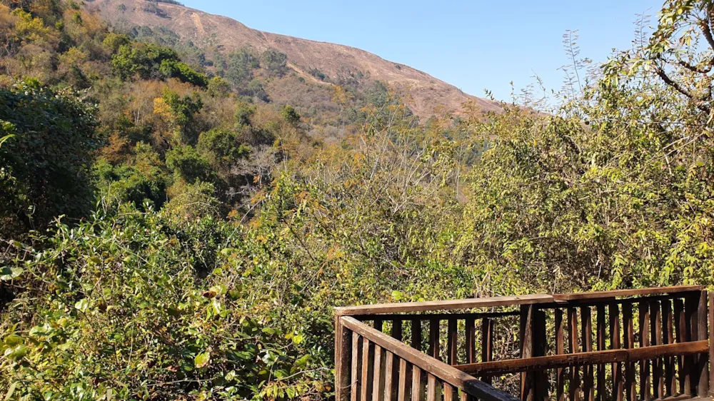 Smallholding for sale in Mbombela Rural (Nelspruit Rural) - 1NS1578187