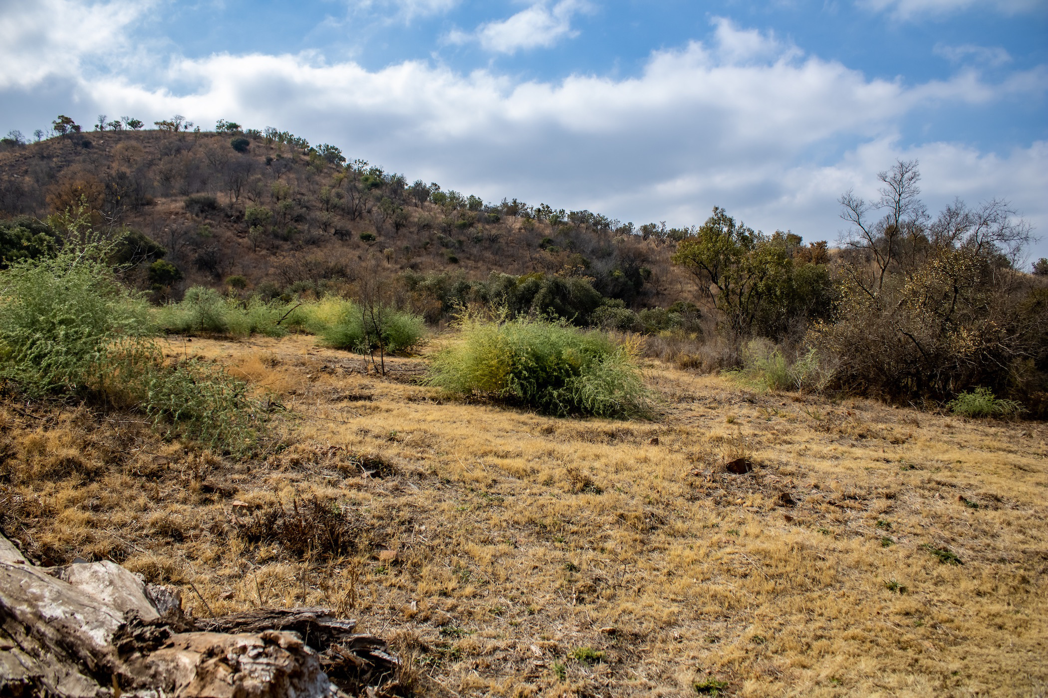 Residential vacant land for sale in Estate D Afrique - 1HR1541027