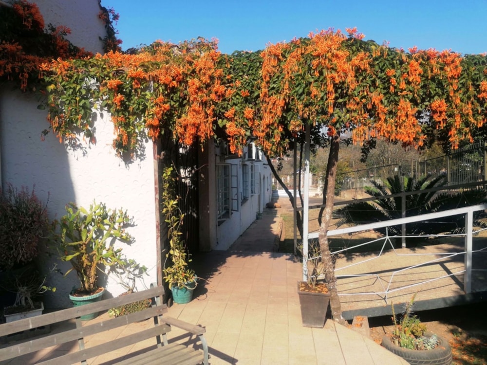 House for sale in Lincoln Meade - 1PM1541179 House for sale in Lincoln Meade - 1PM1541179