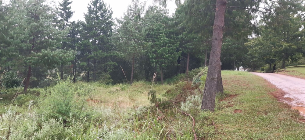 Vacant land for sale in Magoebaskloof - 1TA1636870
