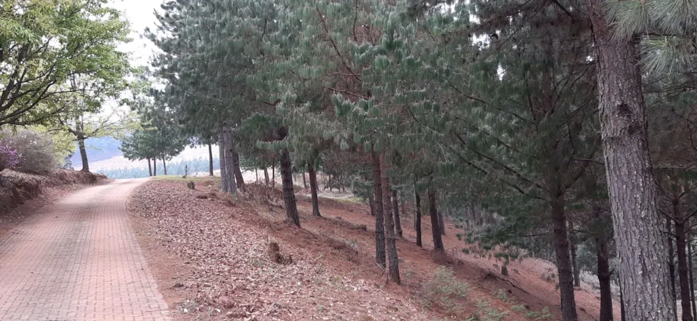 Vacant land for sale in Magoebaskloof - 1TA1636870