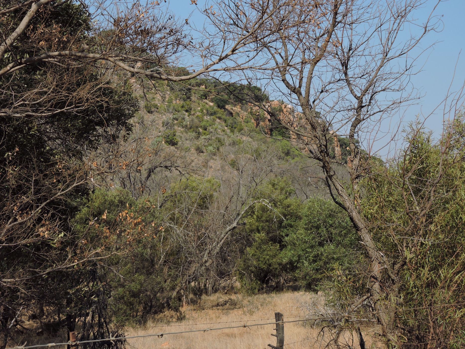 Game farm for sale in Koster - 1RU1709402