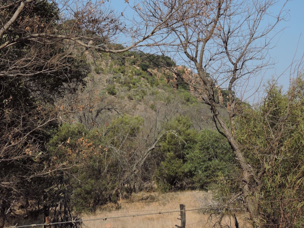 Game farm for sale in Koster - 1RU1709402