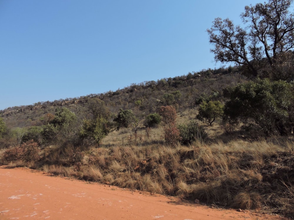 Game farm for sale in Koster - 1RU1709402 Game farm for sale in Koster - 1RU1709402