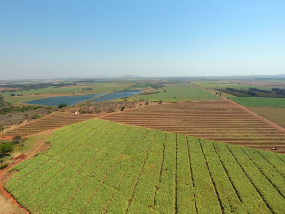 Irrigation farm for sale in Komatipoort - 1NK1544623