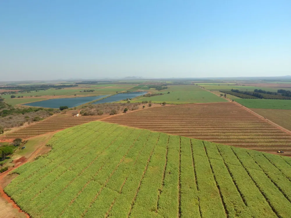 Irrigation farm sold in Komatipoort - 1NK1544623 Irrigation farm sold in Komatipoort - 1NK1544623