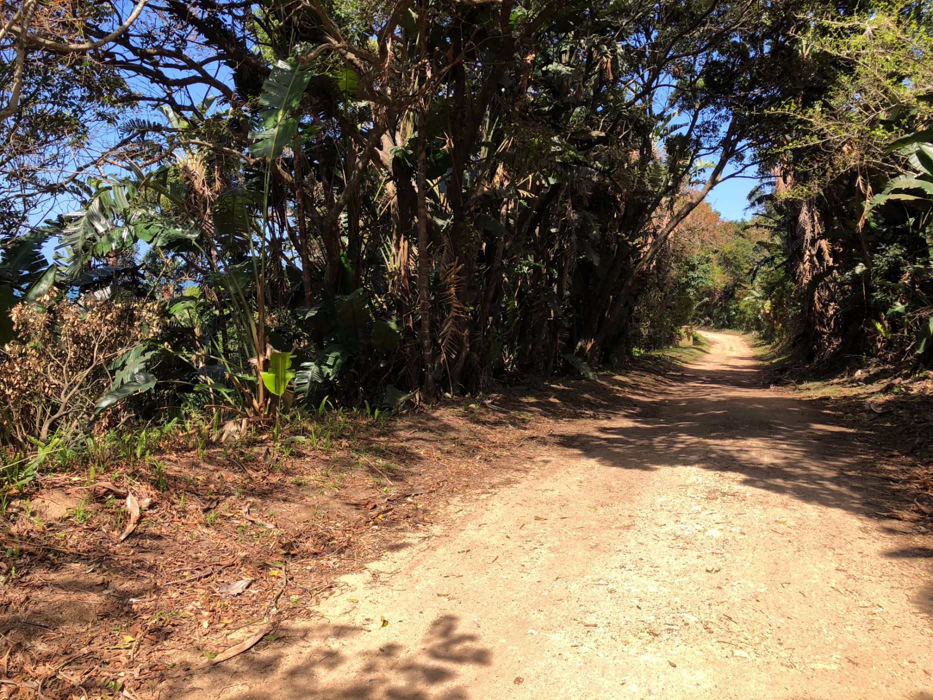 Residential vacant land for sale in Trafalgar - 1PD1545652