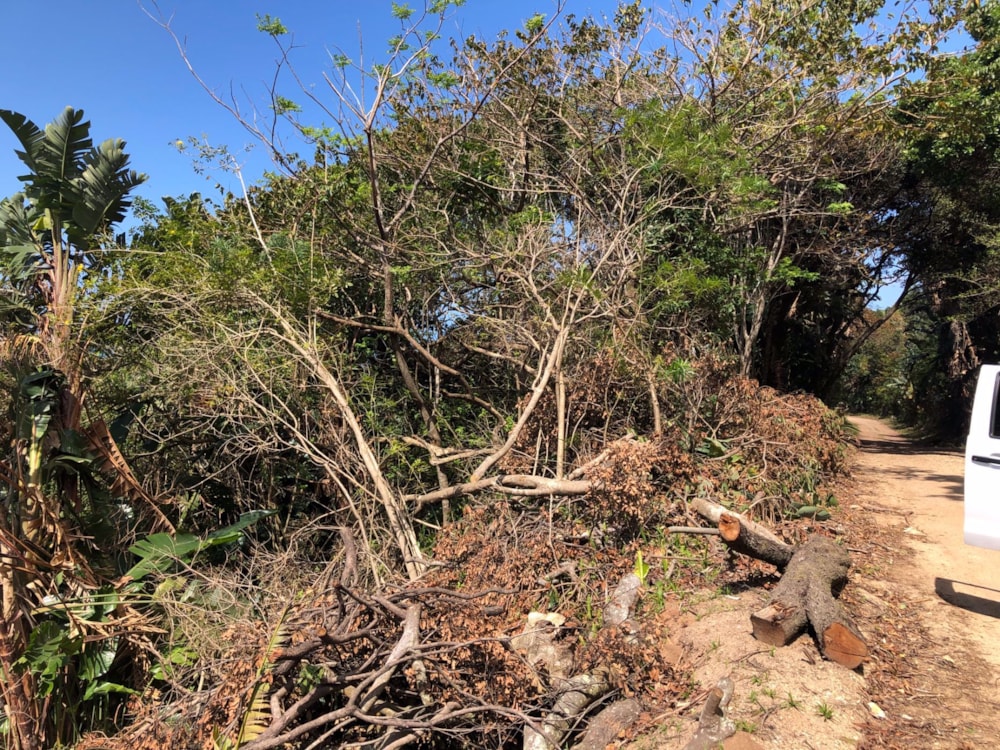 Residential vacant land for sale in Trafalgar - 1PD1545652