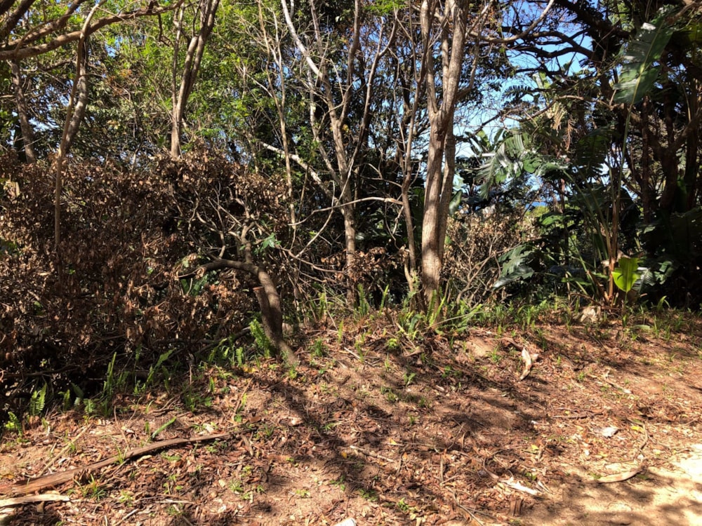 Residential vacant land for sale in Trafalgar - 1PD1545652