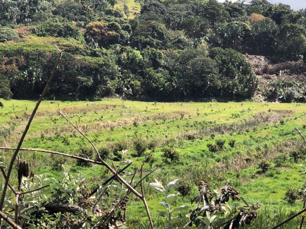 Residential vacant land for sale in Trafalgar - 1PD1545652