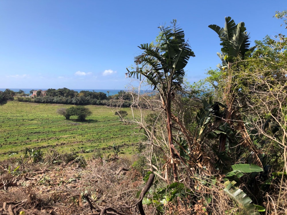 Residential vacant land for sale in Trafalgar - 1PD1545652