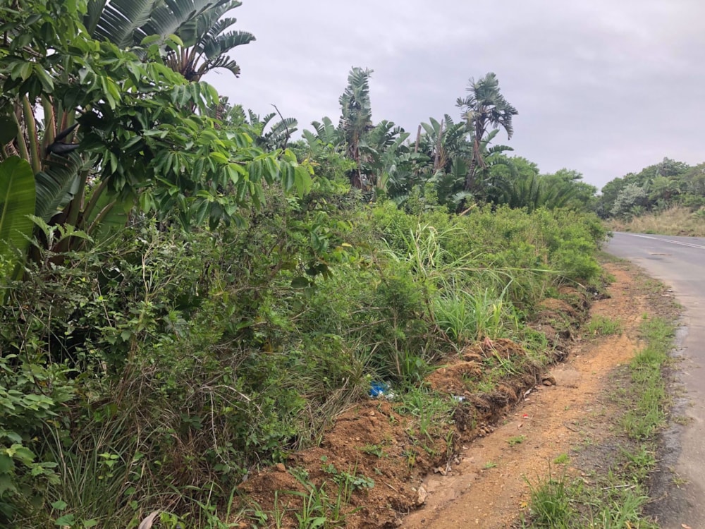 Residential vacant land for sale in Palm Beach - 1PD1410773 Residential vacant land for sale in Palm Beach - 1PD1410773