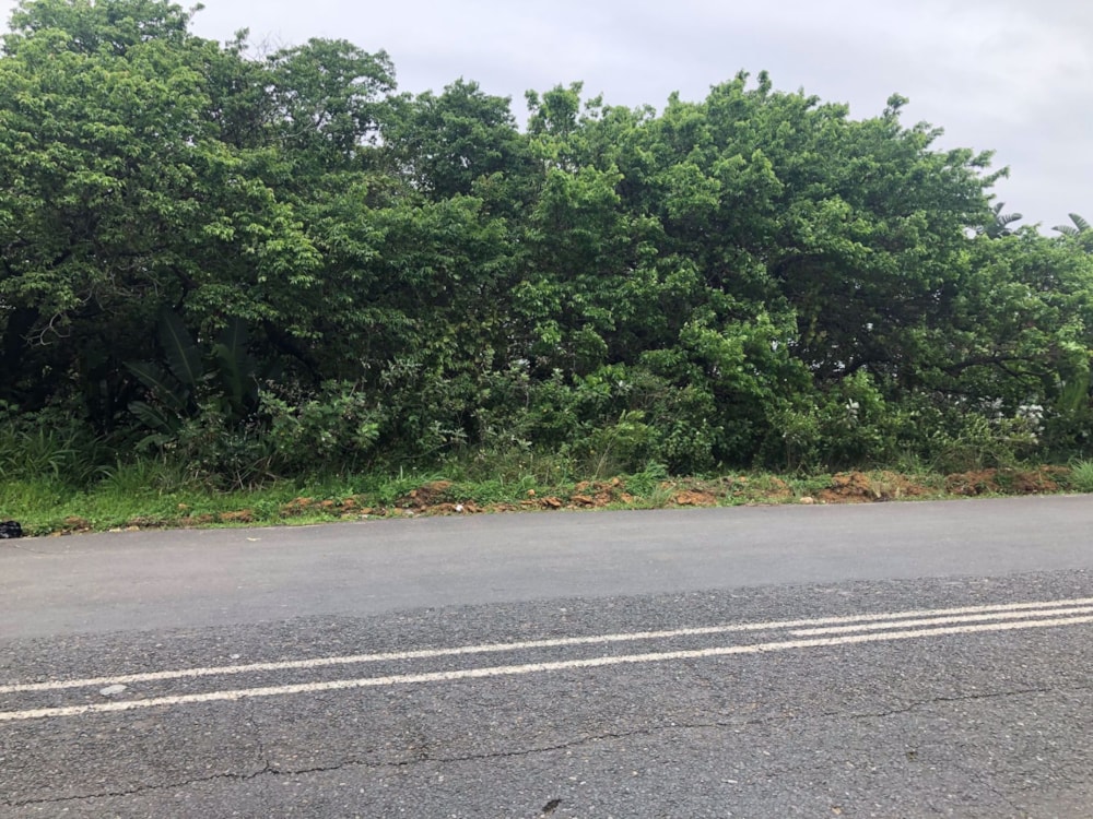 Residential vacant land for sale in Palm Beach - 1PD1410773 Residential vacant land for sale in Palm Beach - 1PD1410773