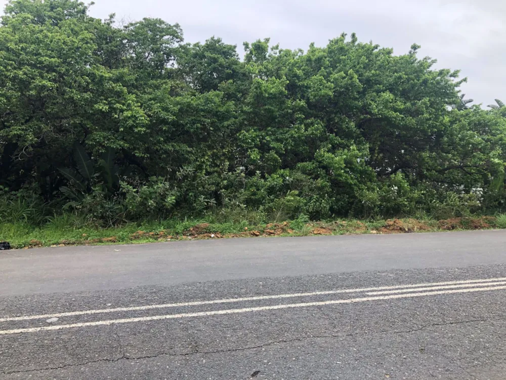 Residential vacant land for sale in Palm Beach - 1PD1410773 Residential vacant land for sale in Palm Beach - 1PD1410773