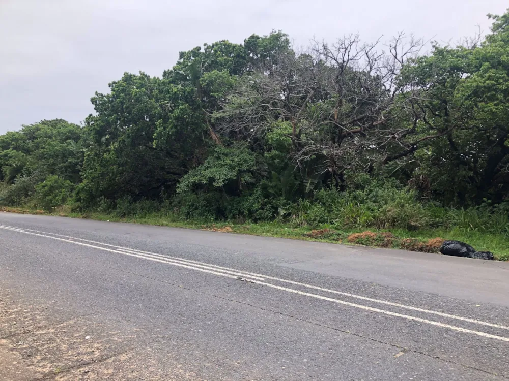 Residential vacant land for sale in Palm Beach - 1PD1410773 Residential vacant land for sale in Palm Beach - 1PD1410773