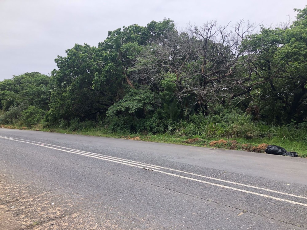 Residential vacant land for sale in Palm Beach - 1PD1410773 Residential vacant land for sale in Palm Beach - 1PD1410773
