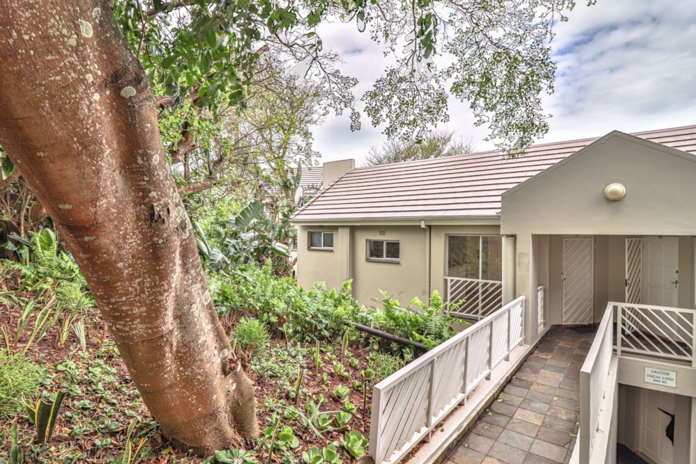 Apartment to rent in Thompsons Bay - 1BD1704205 Apartment to rent in Thompsons Bay - 1BD1704205