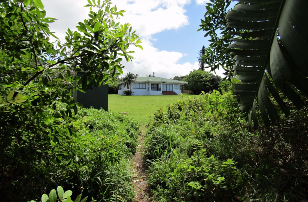 Beachfront villa for sale in Port Edward - 1PD1546797