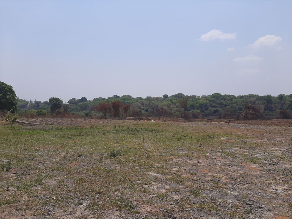 Smallholding for sale in Central Province, Zambia - 3ZA1547520