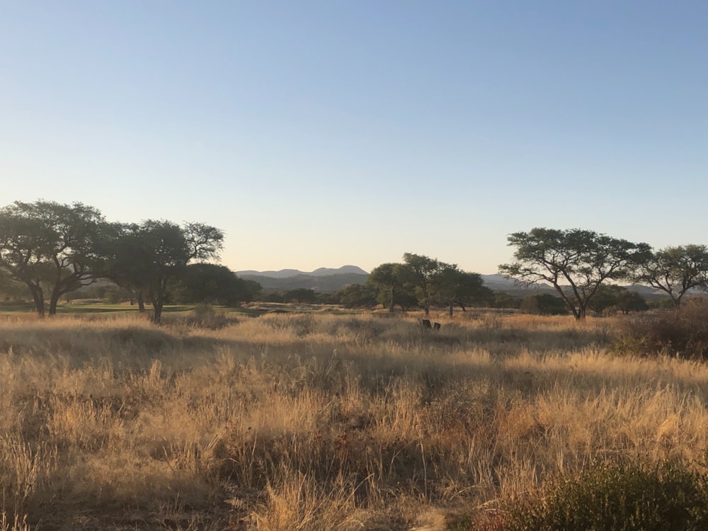 House for sale in Omeya Estate, Namibia - 3NM1547734