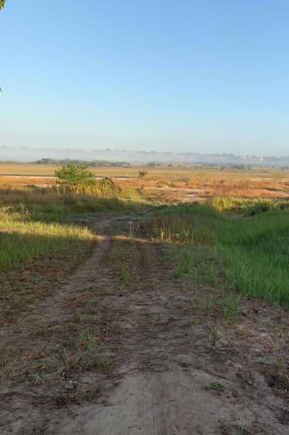 Farm vacant land for investment in Catembe, Mozambique - 3MQ1548692