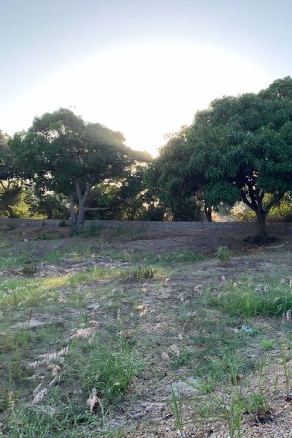 Farm vacant land for investment in Catembe, Mozambique - 3MQ1548692