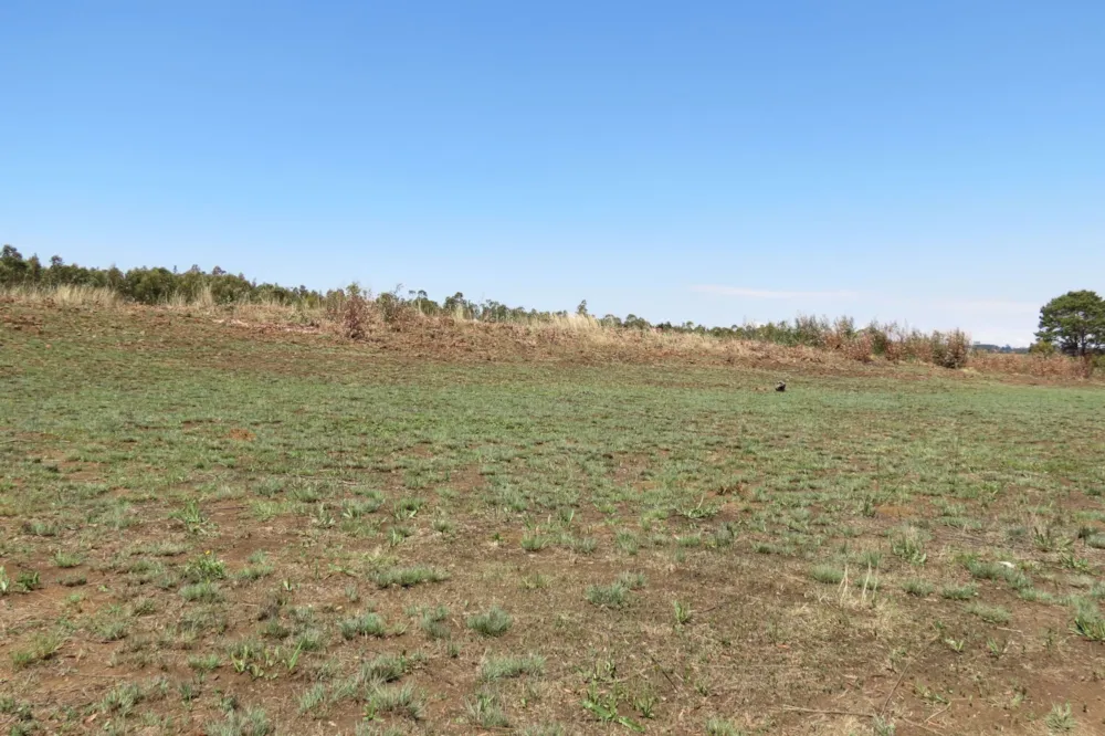 Commercial vacant land for sale in Belfast - 1DS1548832