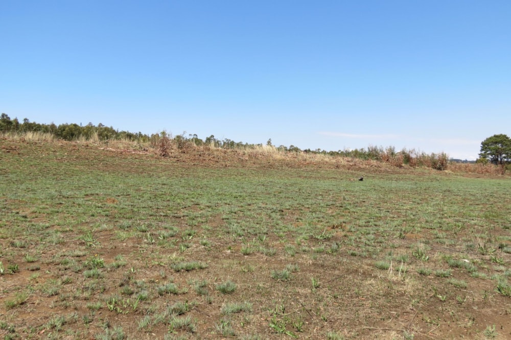 Commercial vacant land for sale in Belfast - 1DS1548832