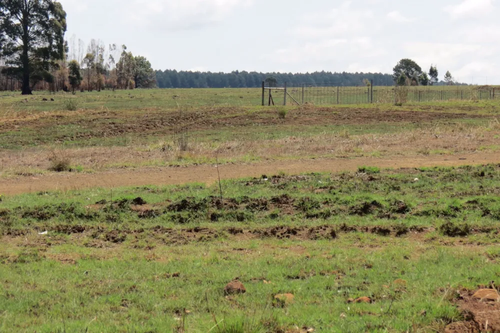 Commercial vacant land for sale in Belfast - 1DS1548832