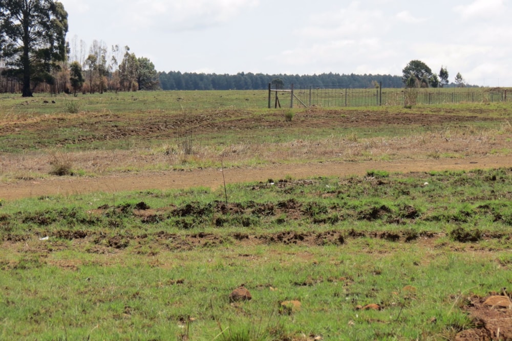 Commercial vacant land for sale in Belfast - 1DS1548832