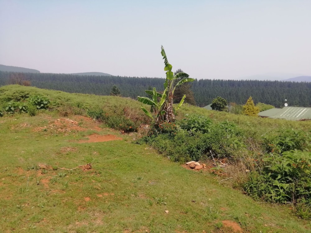 Residential vacant land for sale in Sabie - 1LY1549044